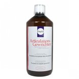 Dexsil Articulations Solution Buvable 500ml