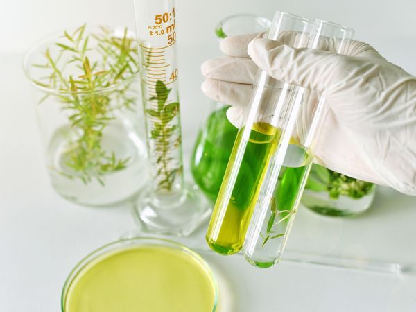 Parapharmacie vente en ligne de produits Extraits de Plantes Phyto-Aroma / BIO
