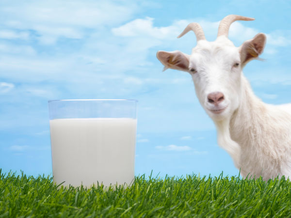 Parapharmacie vente en ligne de produits Laits de Chèvre Laits