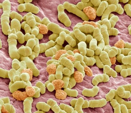 Parapharmacie vente en ligne de produits Mycoses Dermatologie