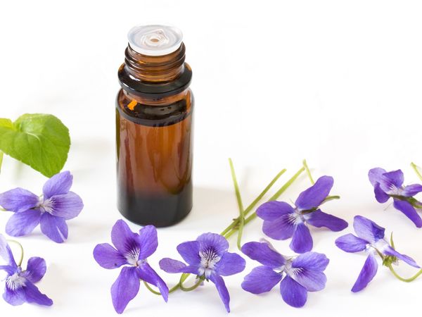 Parapharmacie vente en ligne de produits Fleurs de Bach Phyto-Aroma / BIO Parapharmacie vente en ligne de produits Fleurs de Bach Phyto-Aroma / BIO
