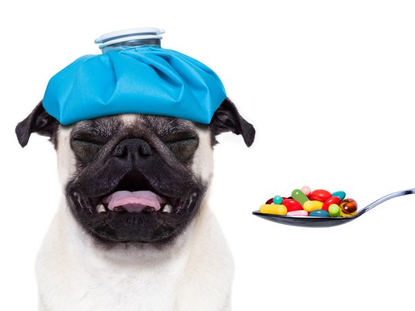 Parapharmacie vente en ligne de produits Vitamines Vétérinaire