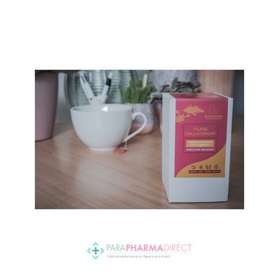 Bébé / Grossesse Bona Fama Tisane d'Allaitement - Favorise la Lactation & la Digestion - BIO 18 Sachets (ancien Grandir Nature)
