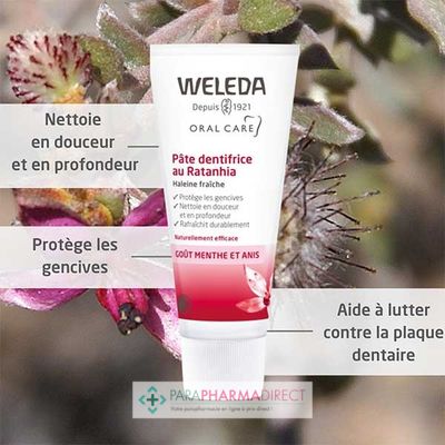 Hygiène / Bien-Être Weleda Pâte Dentifrice au Ratanhia Protège & Renforce les Gencives 75 ml