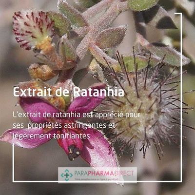 Hygiène / Bien-Être Weleda Pâte Dentifrice au Ratanhia Protège & Renforce les Gencives 75 ml