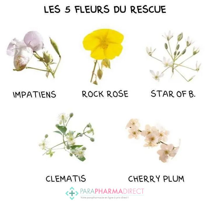 Fleurs de Bach Rescue Nuit Pets Compte-Gouttes 20ml - Paraphamadirect