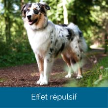 répulsif