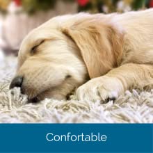 confortable