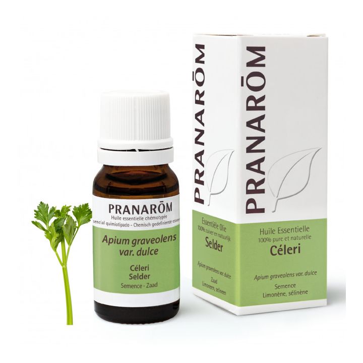 Huile essentielle de Céleri Pranarôm - flacon de 10 ml