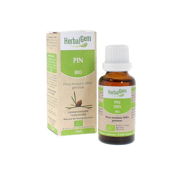 Pin des montagnes BIO Herbalgem - 30 ml