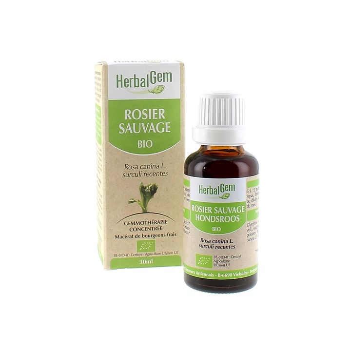 Rosier sauvage BIO Herbalgem - 30 ml