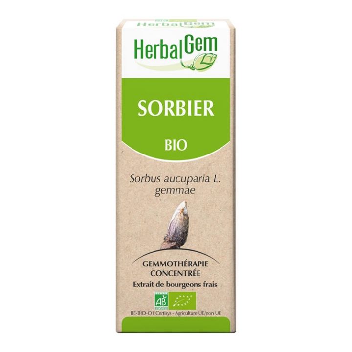 Sorbier bio Herbalgem - flacon de 30 ml