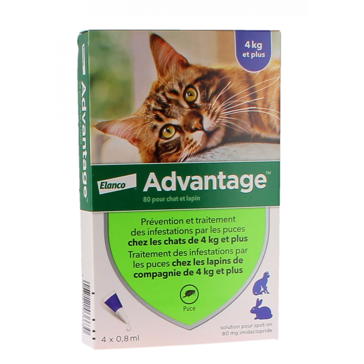 Advantage 80 pour chat et lapin plus de 4 kg Bayer - boite de 4 pipettes