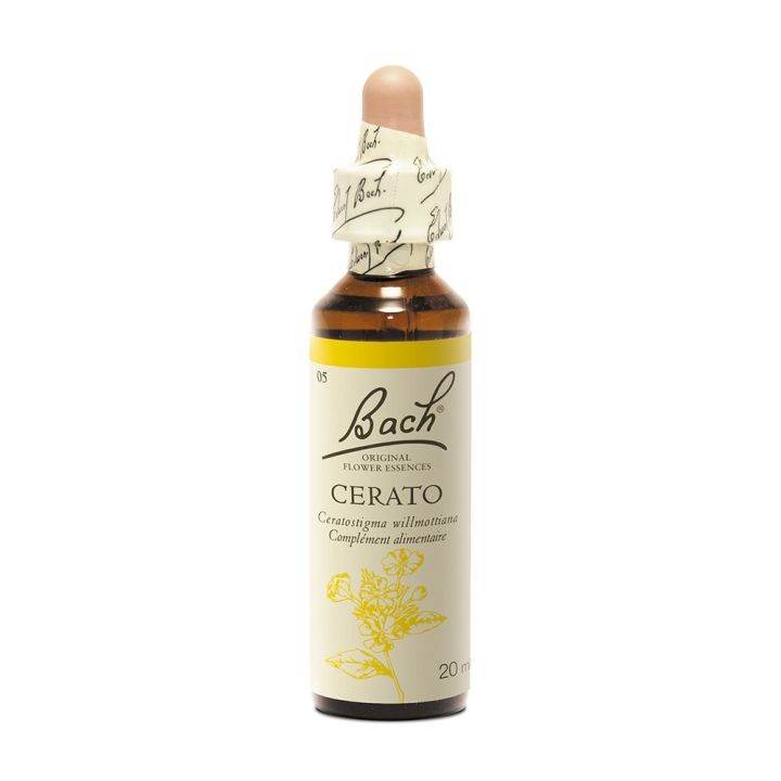 Fleur de Bach Cerato Ceratostigma willmattiana - flacon de 20 ml