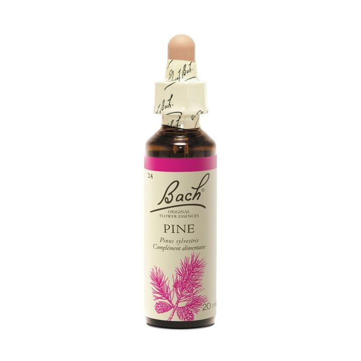 Fleur de Bach Pine Pinus sylvestris - flacon de 20 ml