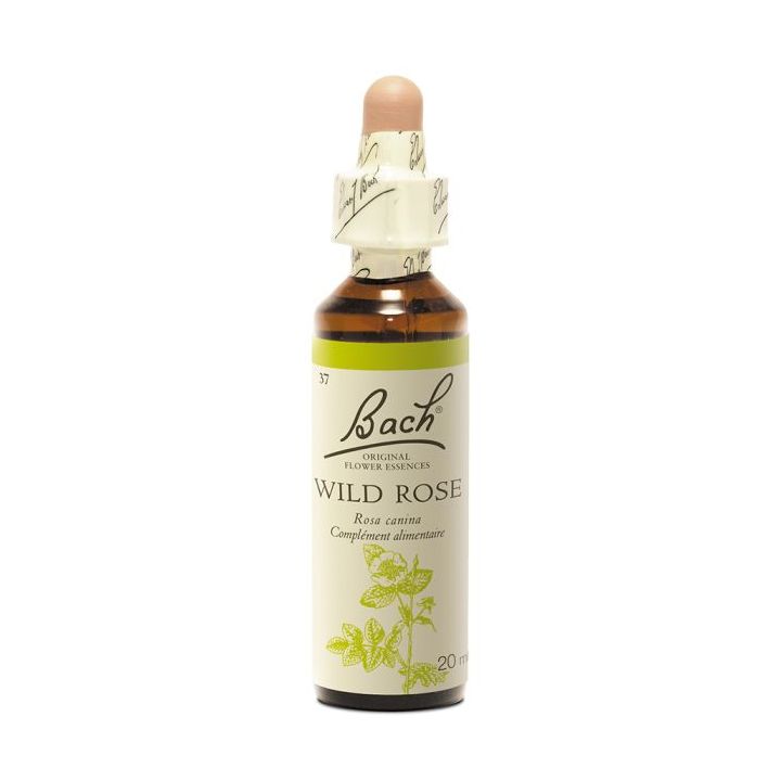 Fleur de Bach Wild Rose Rosa canina - flacon de 20 ml