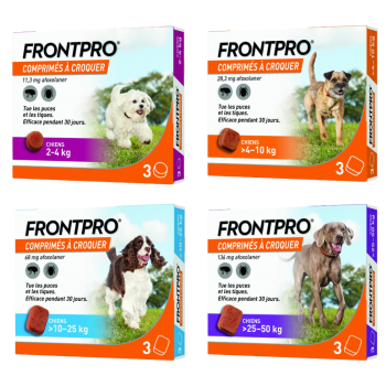 Frontpro comprimé anti puces chien