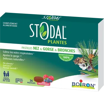 Stodal plantes pastilles nez gorge bronches goût fruits rouges Boiron - boite de 36 pastilles