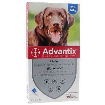 Advantix grand chien de plus de 25 kg Bayer - boite de 4 pipettes