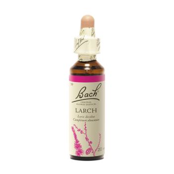 Fleur de Bach larch Larix decidua - flacon de 20 ml