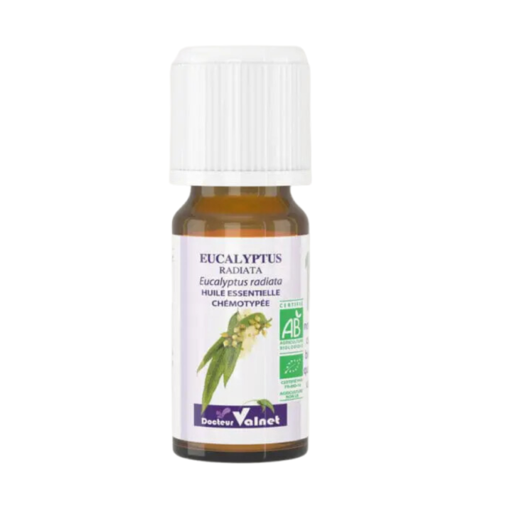 Huile essentielle Eucalyptus radiata Bio Dr Valnet - 10 ml