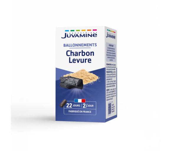 Charbon Levure Gaz Intestinaux Juvamine - image 1