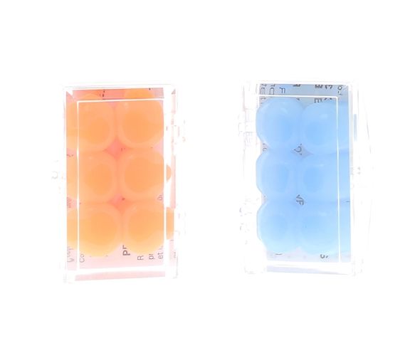 Protections auditives en silicone BodyGuard Ear - boîte de 3 paires