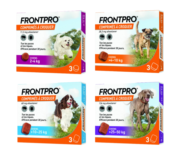 Frontpro comprimé anti puces chien - image 1