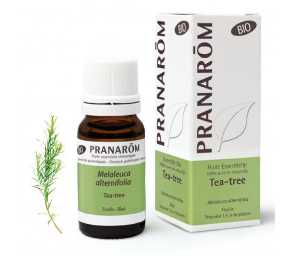 Huile essentielle Tea tree bio Pranarom - image 1