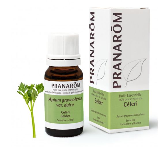 Huile essentielle de Céleri Pranarôm - flacon de 10 ml