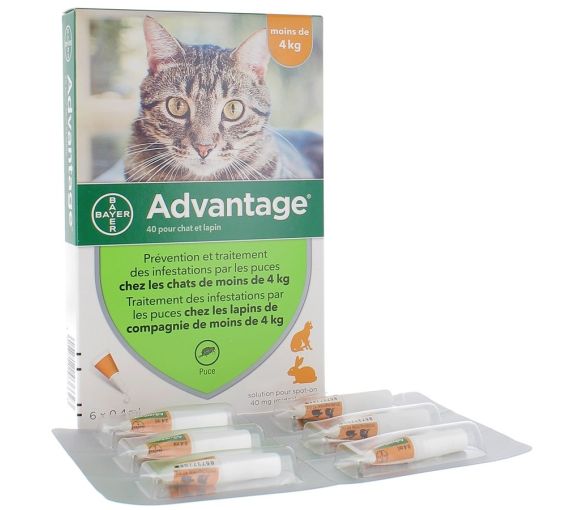 Advantage 40 pour chat et lapin moins de 4 kg Bayer - image 1