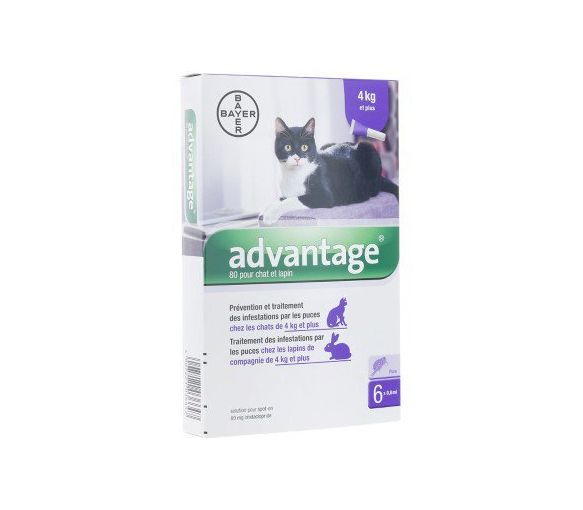 Advantage 80 pour chat et lapin plus de 4 kg Bayer - image 1
