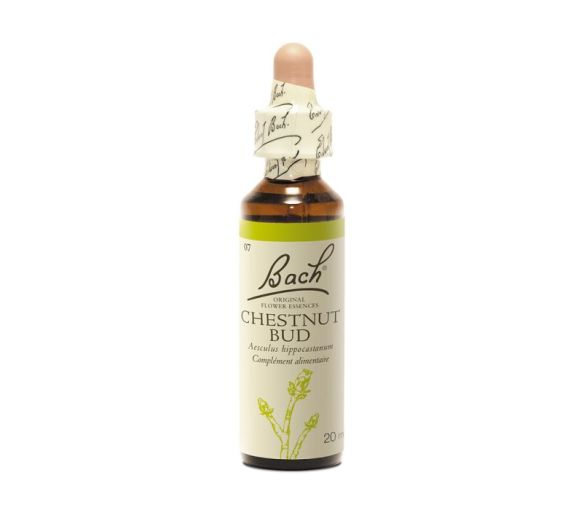 Fleur de Bach Chestnut Bud Aesculus hippocastanum - flacon de 20 ml - image 1