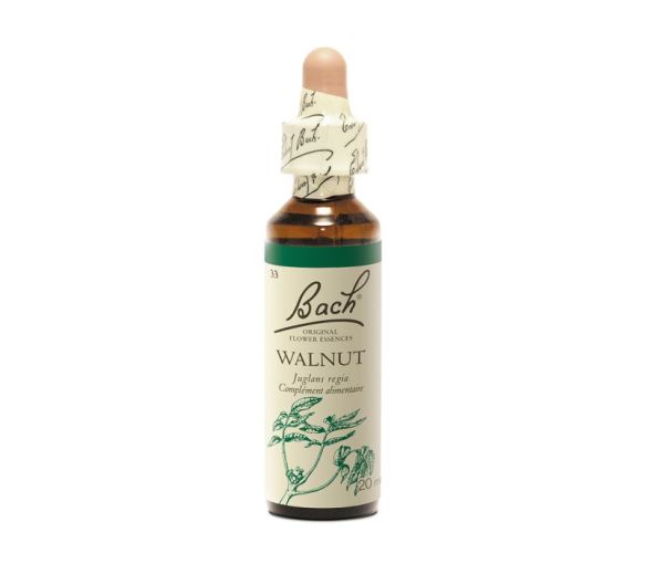 Fleur de Bach Walnut Juglans regia - flacon de 20 ml - image 1