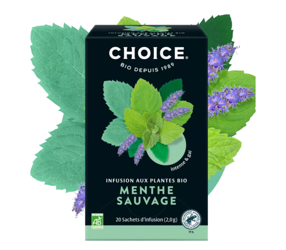 Infusion aux plantes bio menthe sauvage Panda Tea - boite de 17 sachets