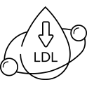 Cholestérol et glycémie